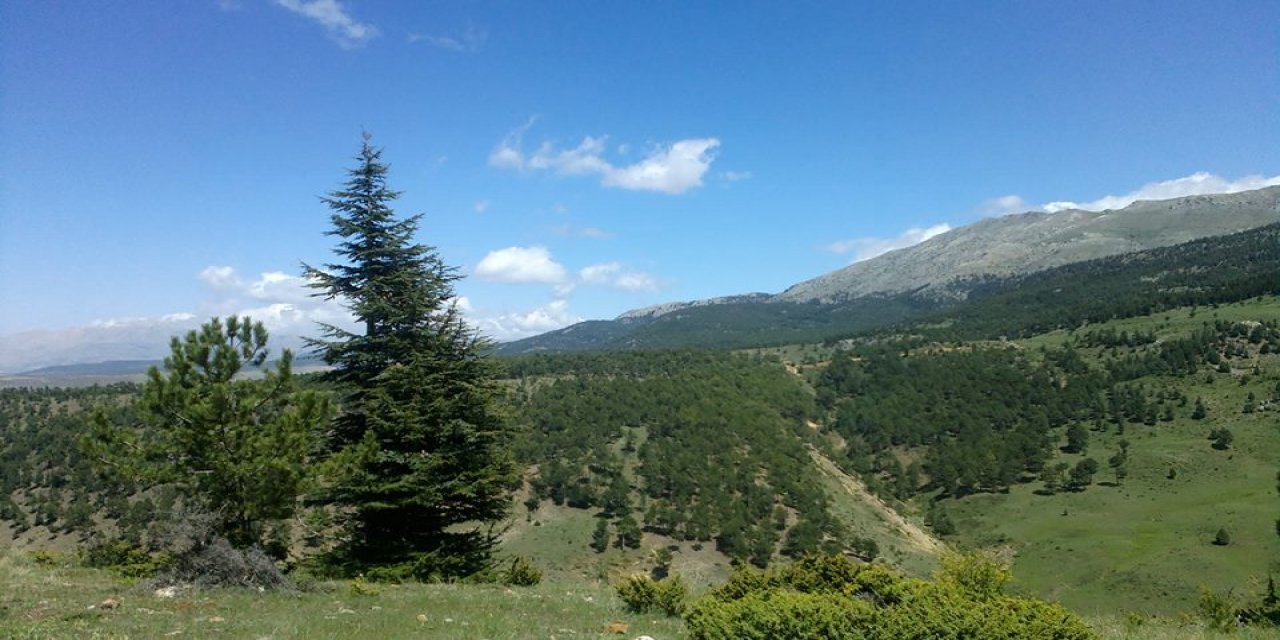 Develi Yaylacık Köyü