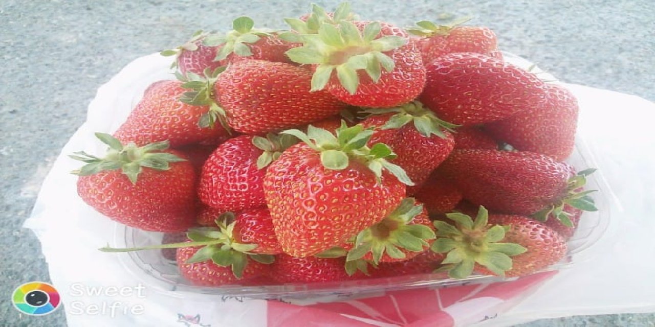Develi Zile Köyü