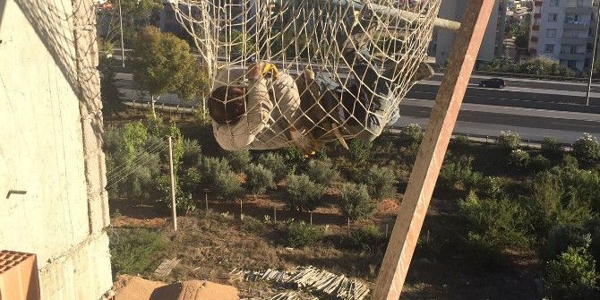 Güvenlik Filesi Hayat Kurtardı