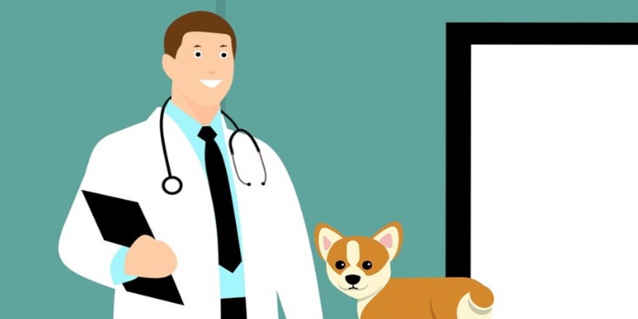 Veteriner Hekimlerden Sert Çıkış!