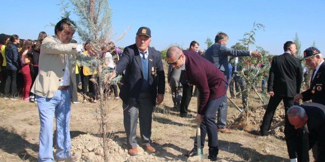 15 Temmuz Şehitleri İçin Hatıra Ormanı