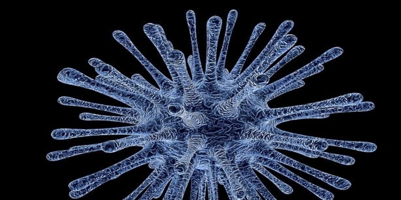 Mutasyon Geçirmiş Koronavirüsten Korunma Klavuzu