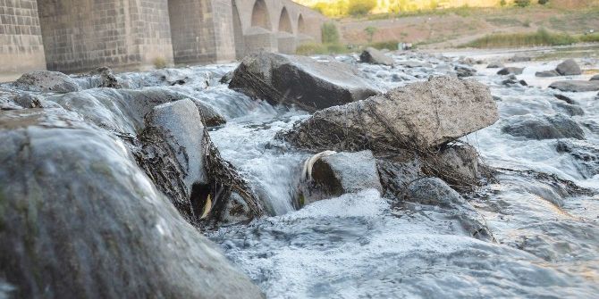 Diyarbakır’da Tarihi On Gözlü Köprü’de Toplu Balık Ölümleri