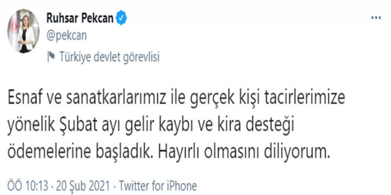 Gelir Kaybı Ve Kira Desteği Ödemeleri Başladı