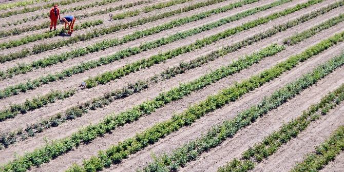 Tuzlukçu Parkı Ve Fidanlığı Üretime Katkı Sağlıyor