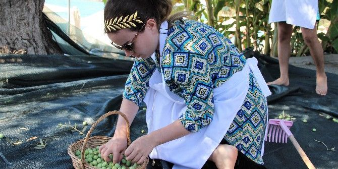 Turistler Tatili Bırakıp Zeytin Topladı