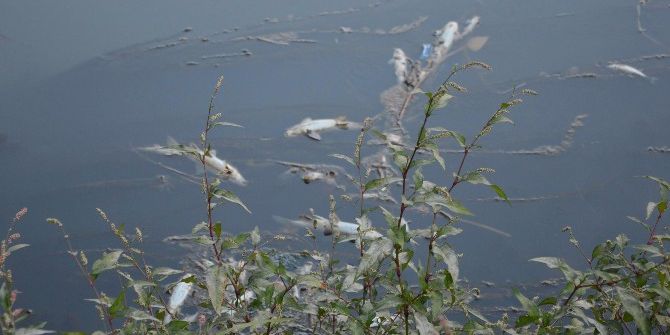 İha’nın Haberi Yetkilileri Harekete Geçirdi
