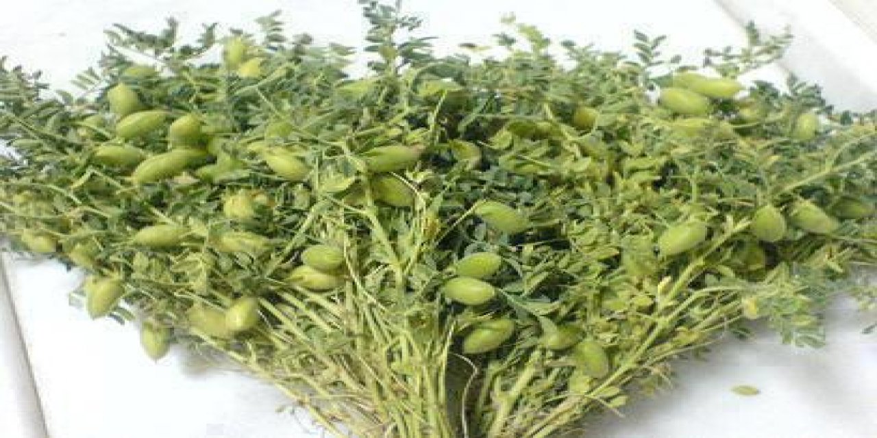 Pınarbaşı Elmalı Köyü
