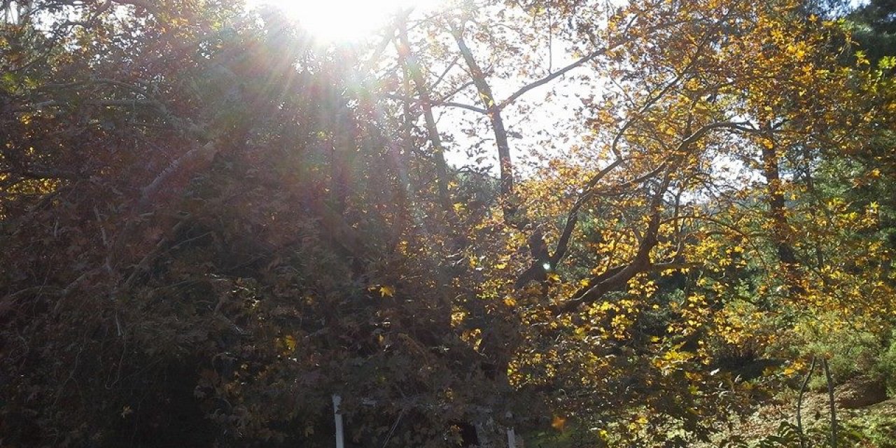 Bayındır Alankıyı Köyü