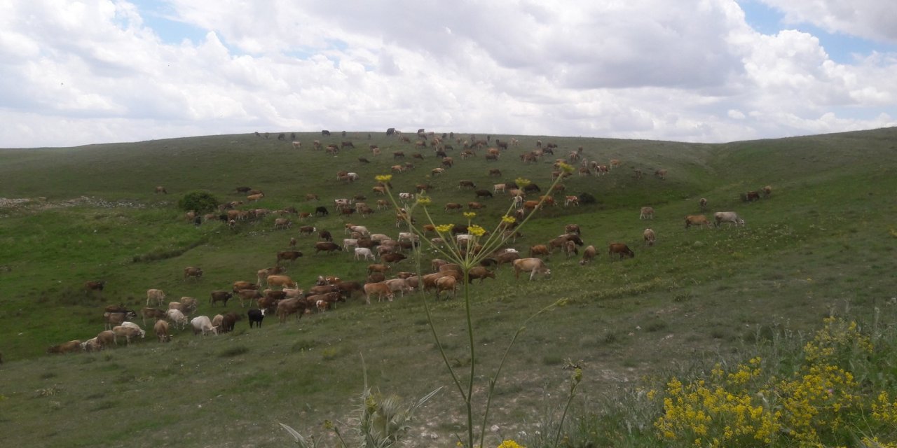 Pınarbaşı Hilmiye Köyü