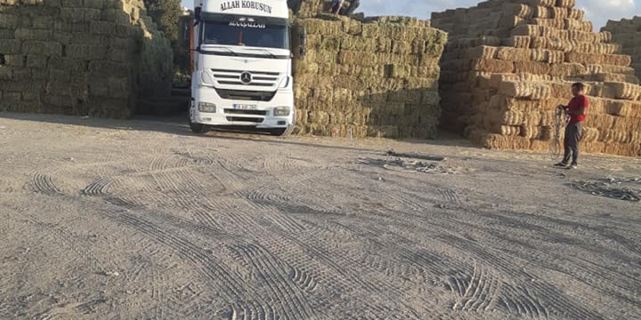 Pınarbaşı İğdelipayaslı Köyü