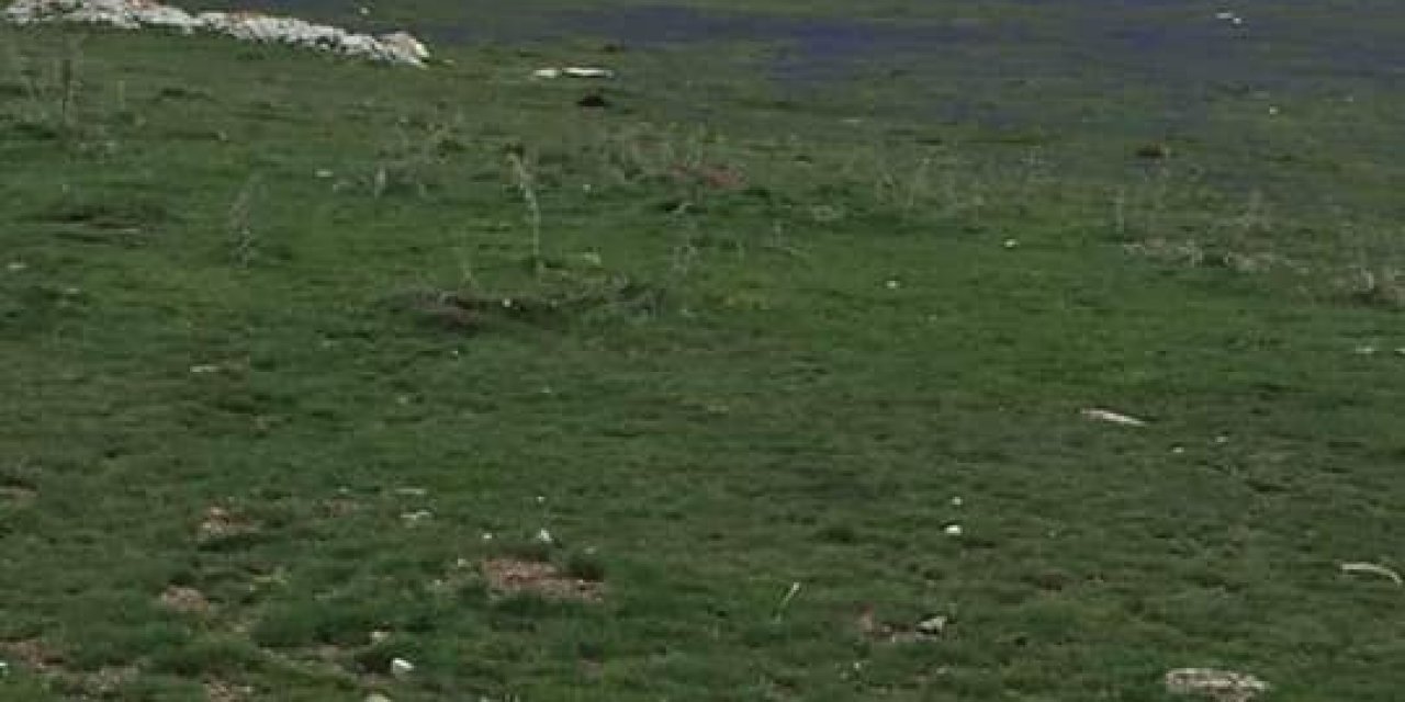 Pınarbaşı Kadılı Köyü