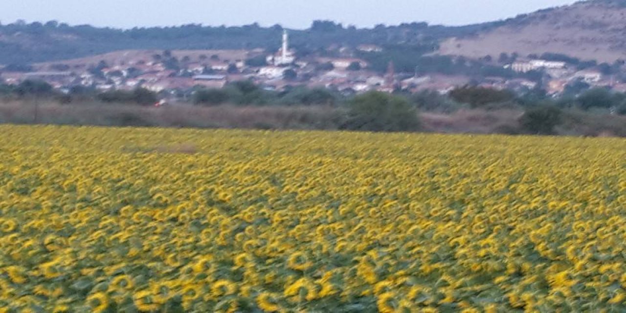 Bergama Eğrigöl Köyü