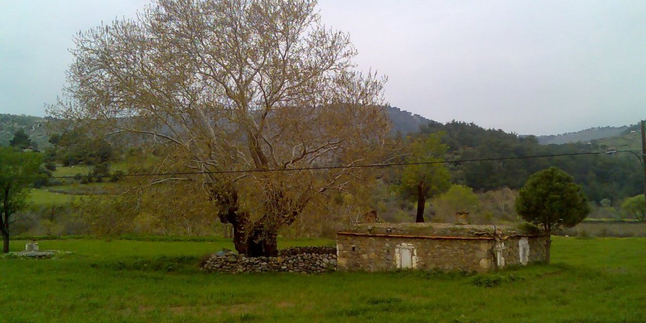 Bergama Kaleardı Köyü