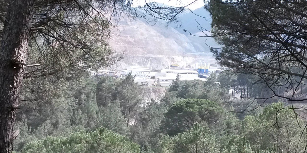 Bergama Kaplanköy Köyü
