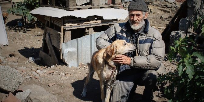 Evini Hayvanat Bahçesine Çevirdi