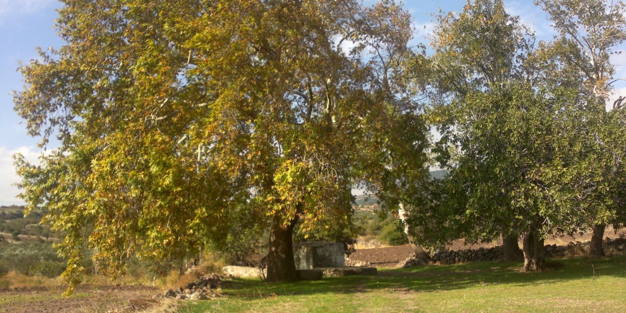 Bergama Kozluca Köyü