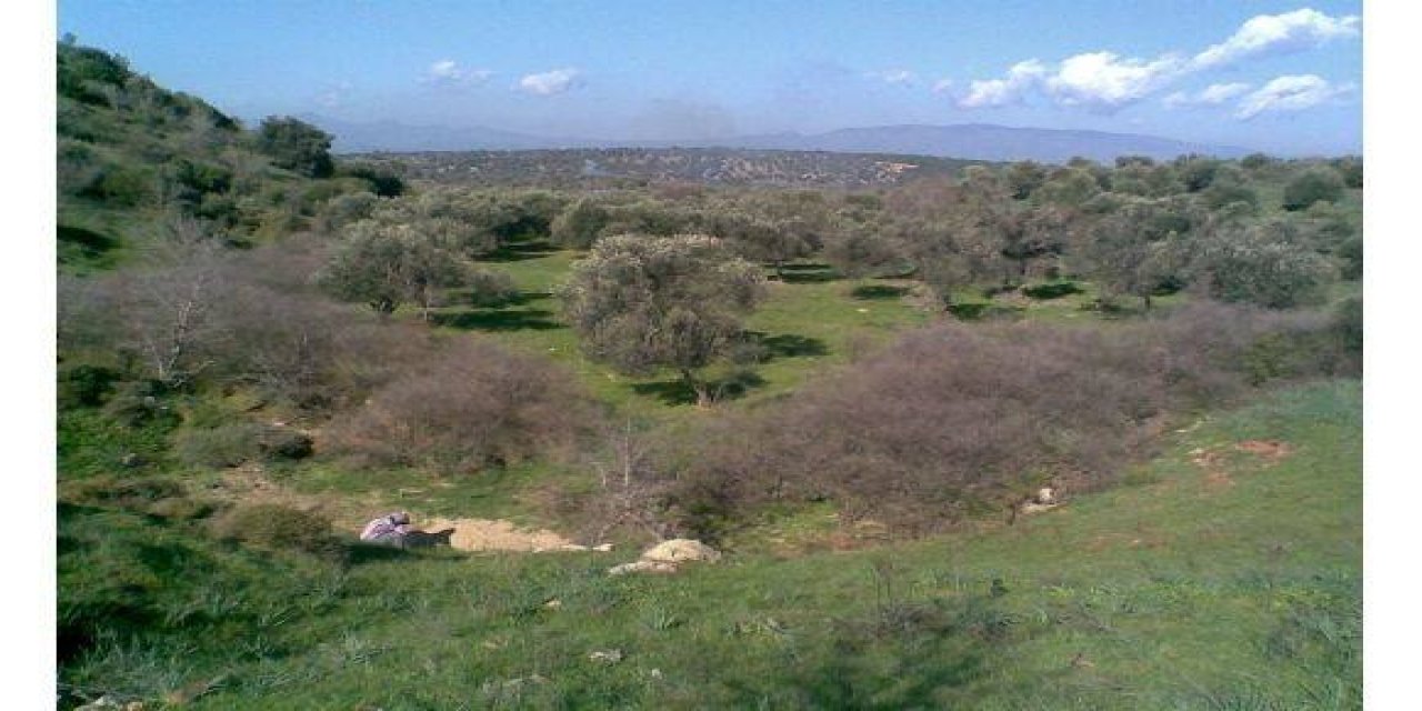 Bergama Kurfallı Köyü