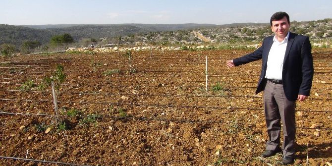 Akdoğan: “Milli Tarım Projesi, Çiftçiye Can Suyu Olacak”