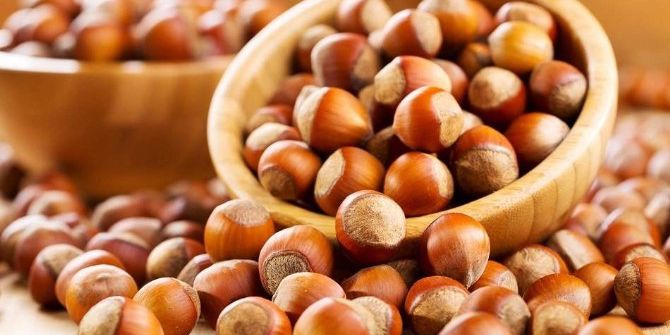 “Fındıkta Üretimi Türkiye, Fiyatı Başkaları Belirliyor”