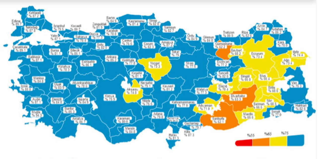 Türkiye Mavi’ye Dönüyor Ama Vaka Sayıları Düşmüyor !