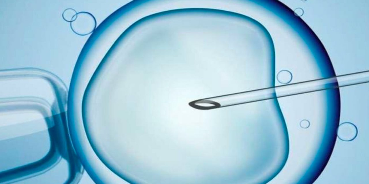 Sperm Donasyonu Nedir ? Dinen Caiz Mi?