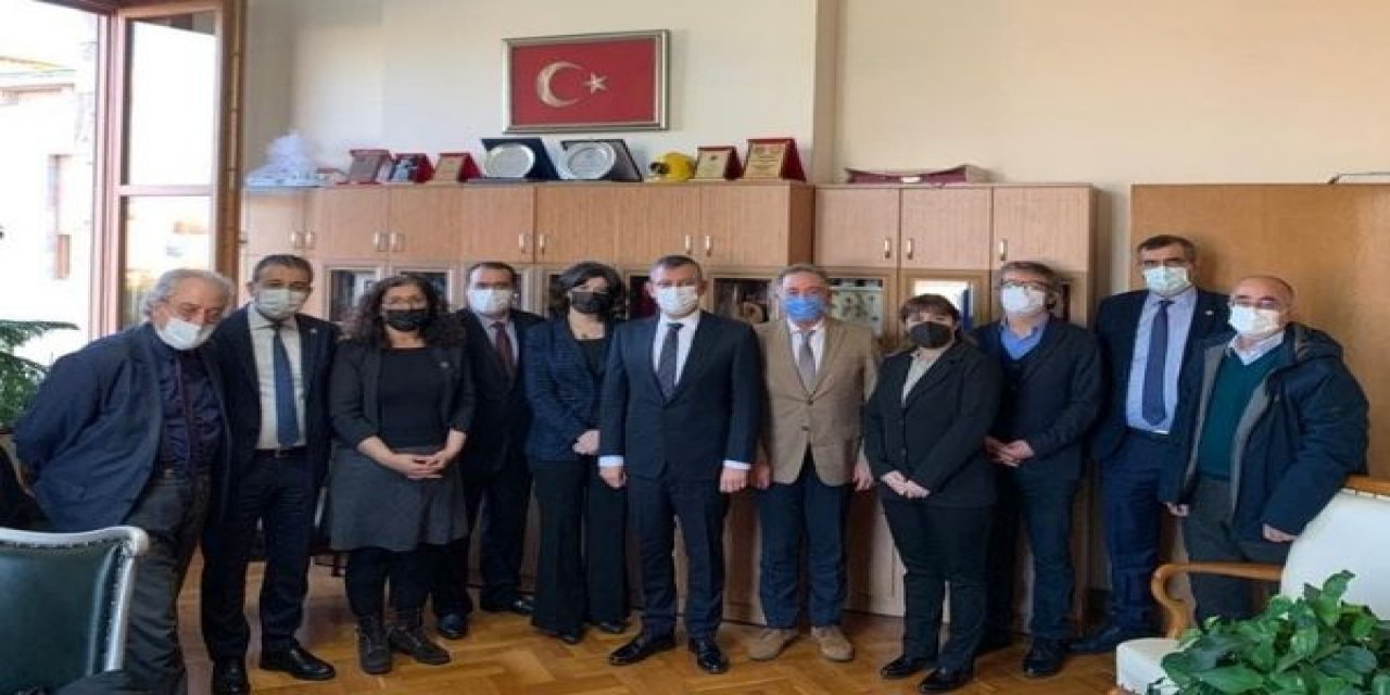 Sağlık Emek-meslek Örgütleri Sorunlarını Mecliste Anlattı