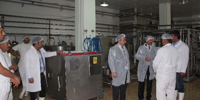 Çolakoğlu, Süt İşletmesini Ziyaret Etti