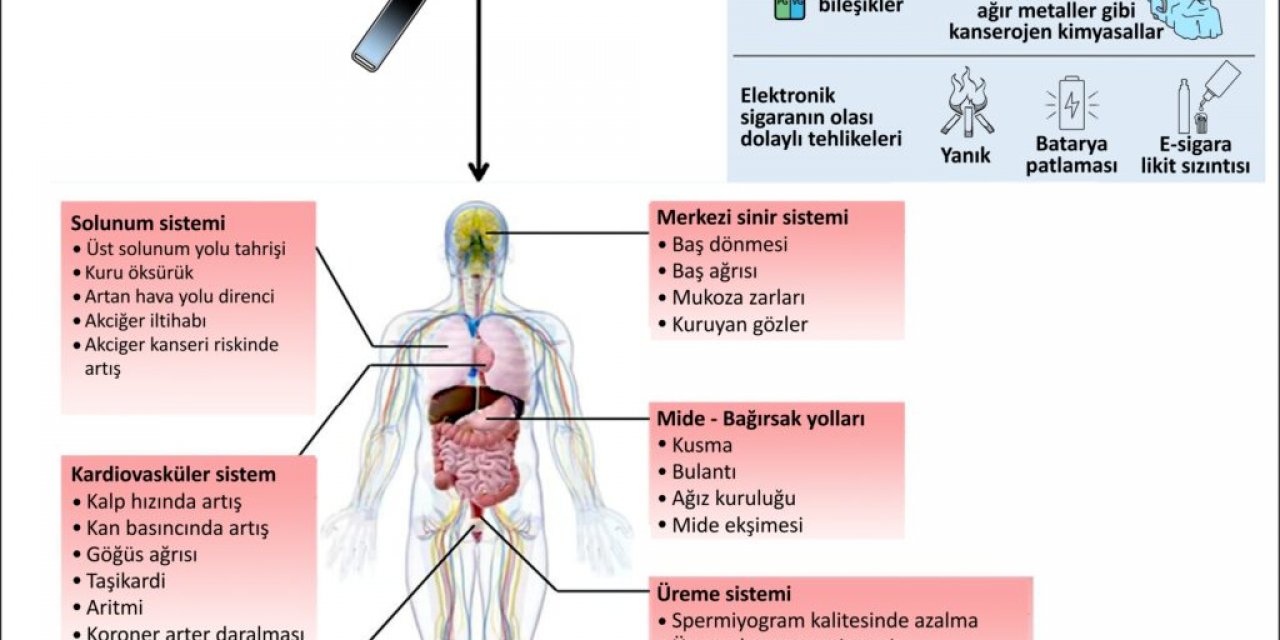 ”Tütünün Her Türü Öldürür”