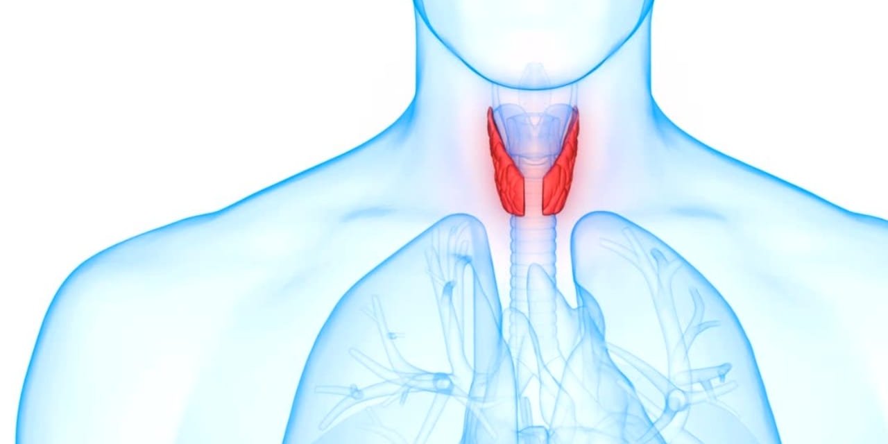 Tükürük Bezi Taşına İz Kalmadan Tedavi !