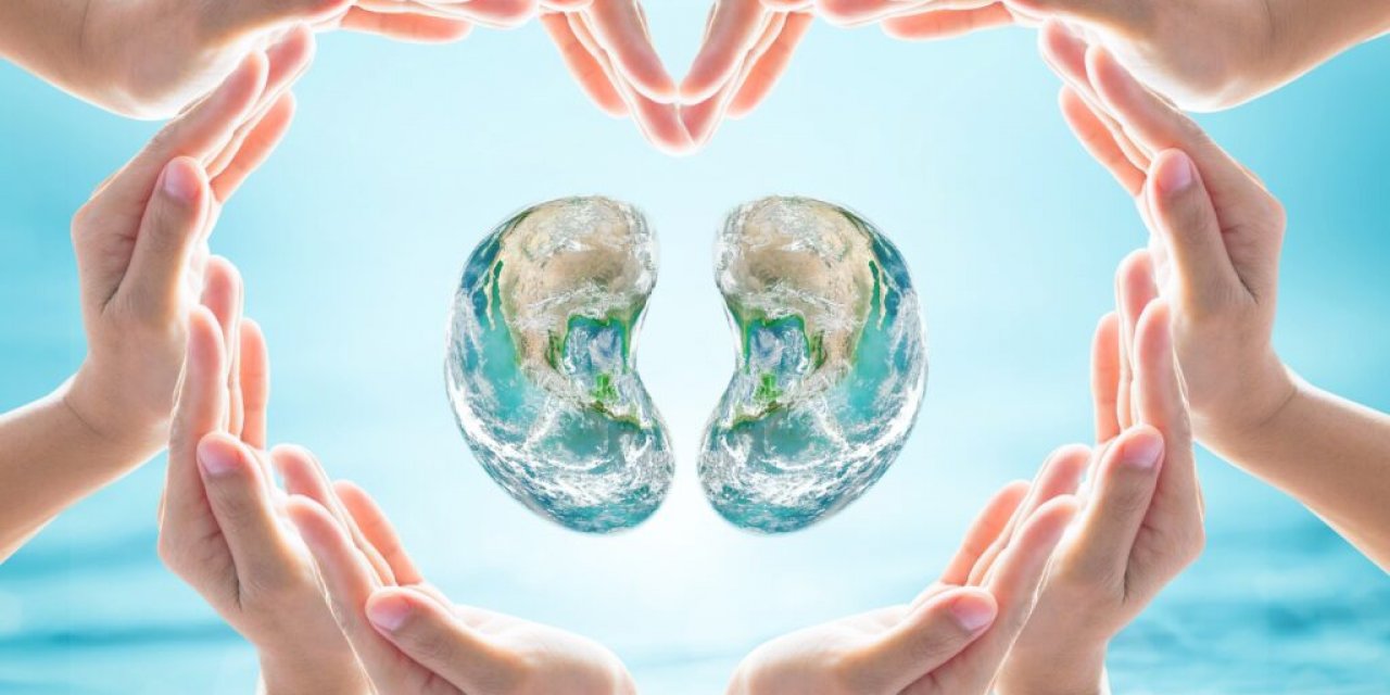 Kalıtsal Böbrek Hastalıklarına Dikkat