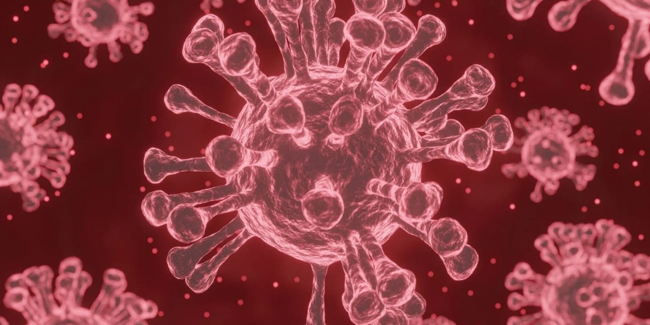 Sgk, Pandemi Döneminde Vatandaşın Yanındaydı!