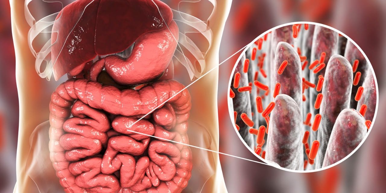 Şişkinlik Ve Halsizliğiniz Varsa Sibo Testiyle Öğrenin!