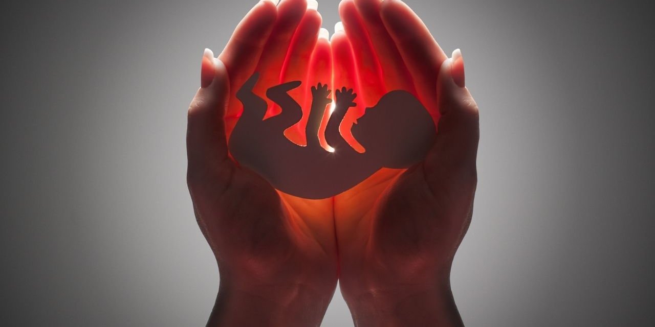 Embriyonun Genetik Analizi Gebelik Başarısını Artırıyor!