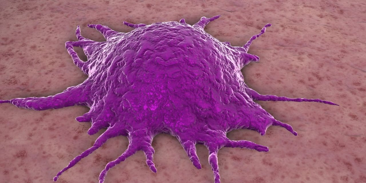 Tümörün Karakterine Göre Tedavi Dönemi!