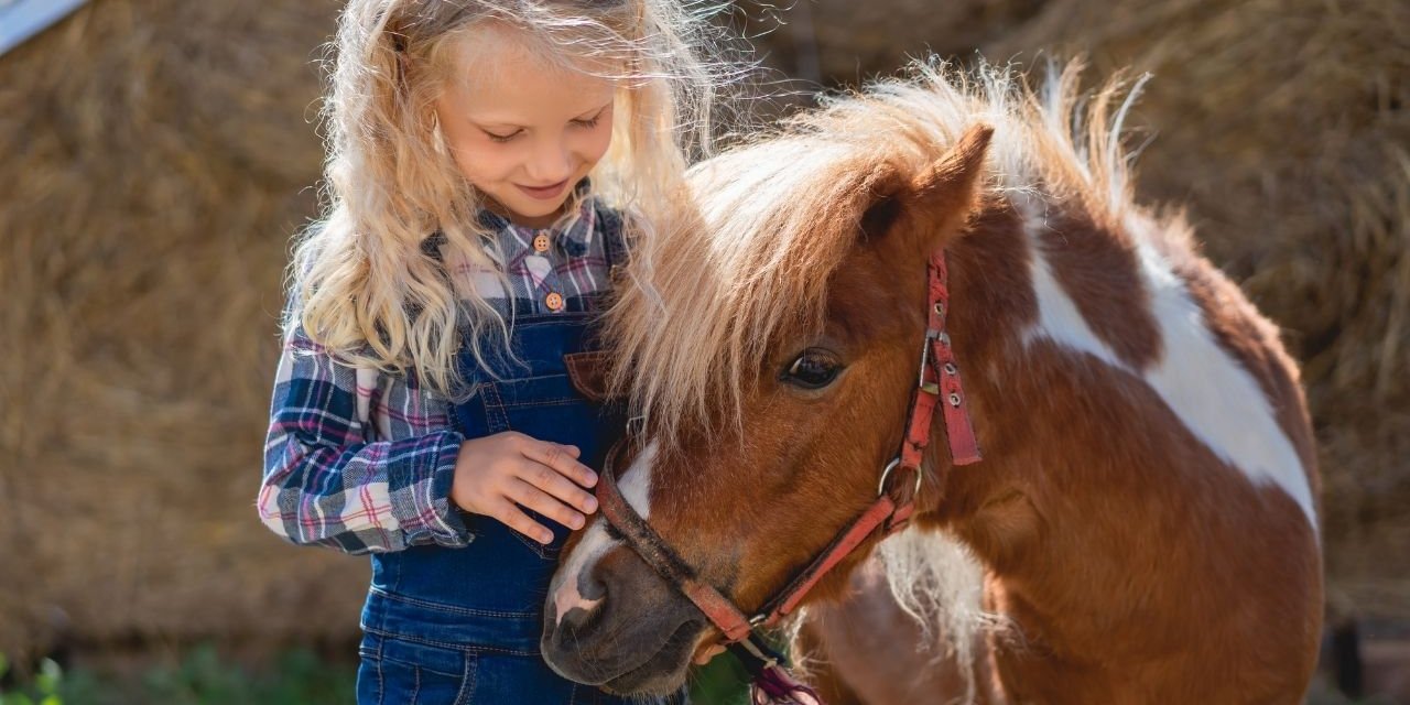 Çocuklar İçin Uygun En İyi 8 At!