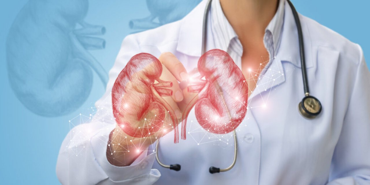 Polikistik Böbrek Hastalığının İlerlemesini Önlemek Mümkün