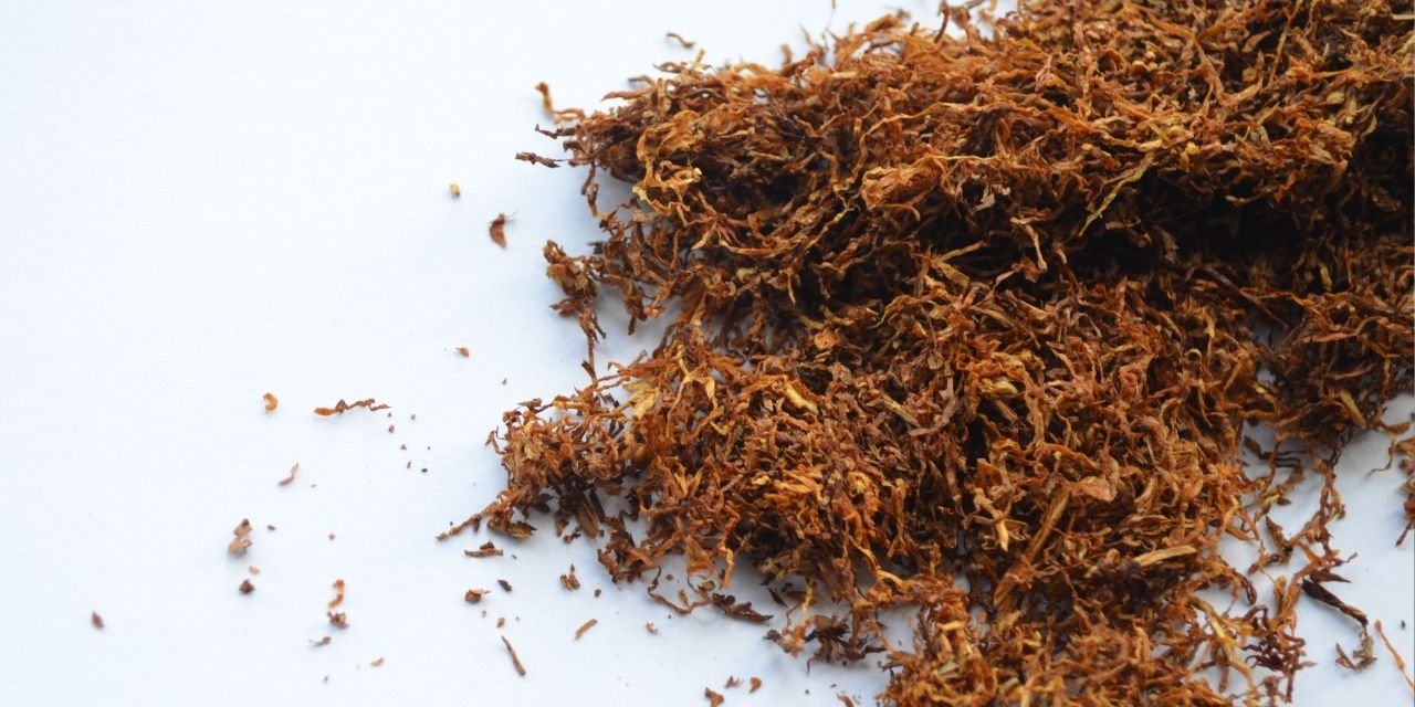 Türk Toraks Derneği, 31 Mayıs Dünya Tütünsüz Günü Bildirisi!