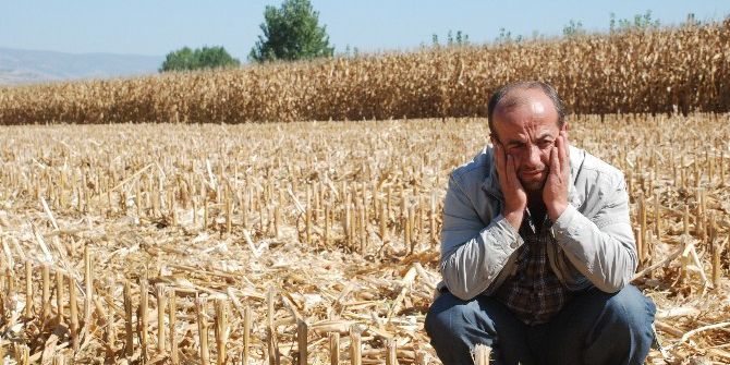 Böyle Hırsızlık Görülmedi!