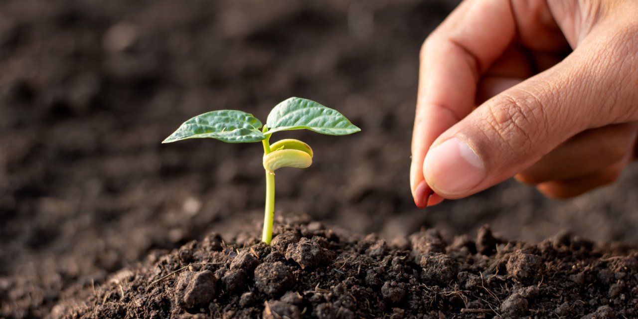 Rusya Ve Türkiye Tarımda Hedef Büyüttü