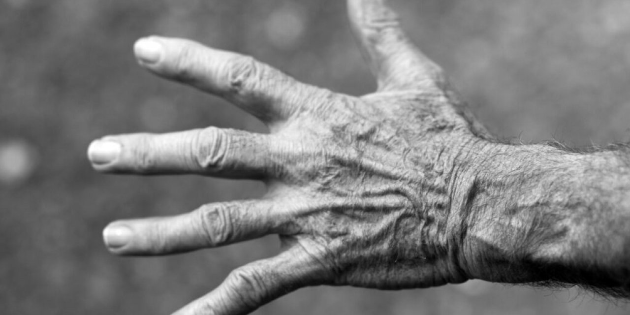 Aile Hekimleri Yaşlı İhmali –istismarı Farkındalığı Araştırması