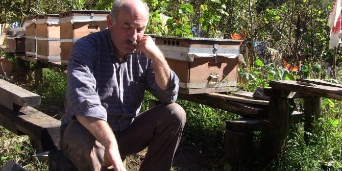 Artvin’de Ayı Saldırıları Bitmek Bilmiyor