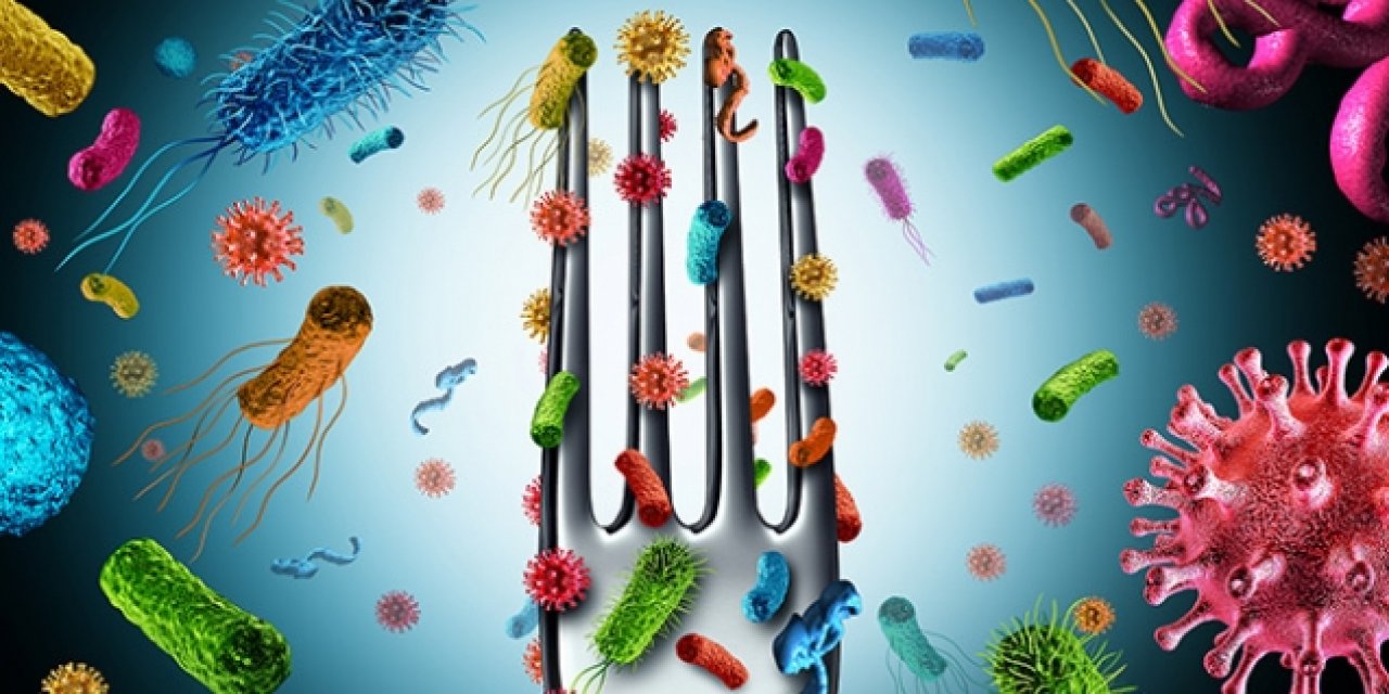 Fonksiyonel Beslenme Ve Metabolomix Testi