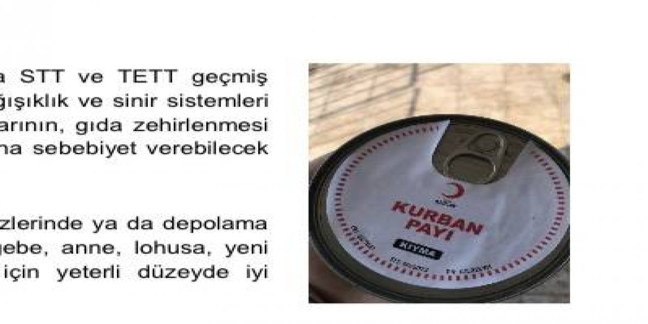 Gıda Mühendisleri’nin Deprem Raporu’nda Şok Eden ‘kızılay Yardımı’ Detayı!