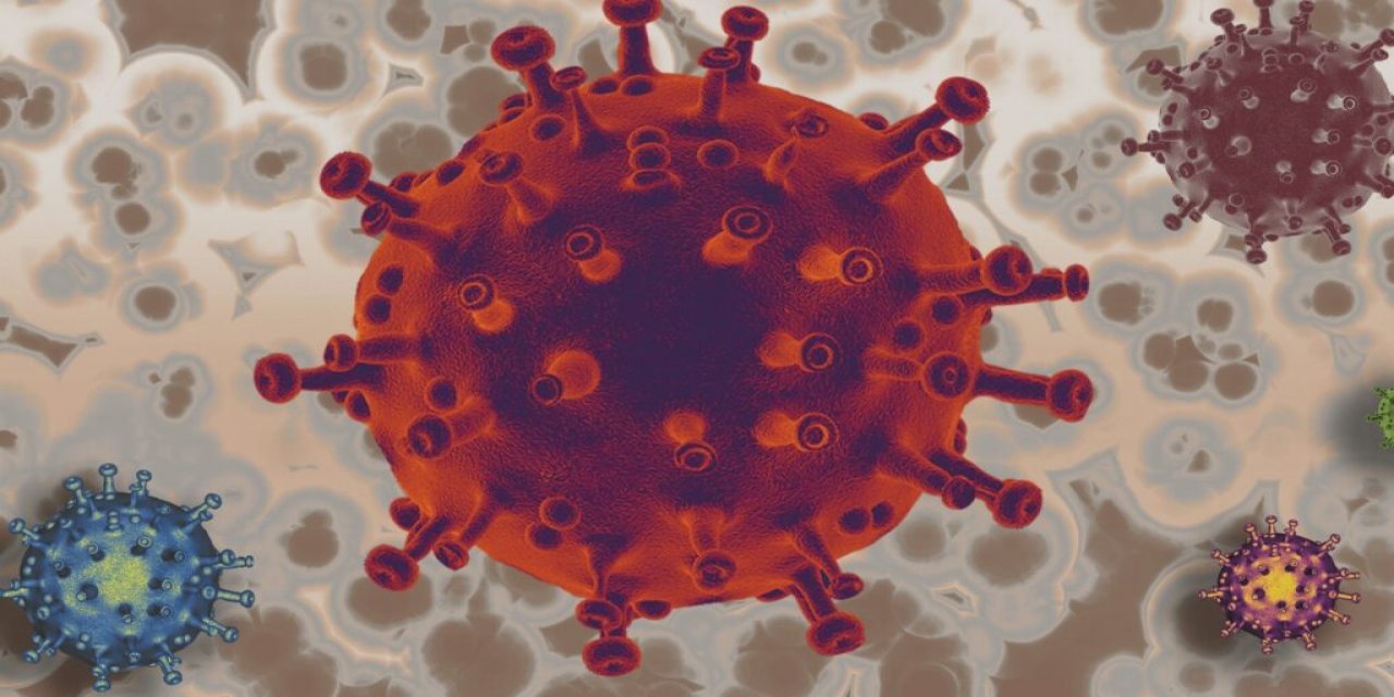 H1n1 Virüsü Nedir? Nasıl Bulaşır?