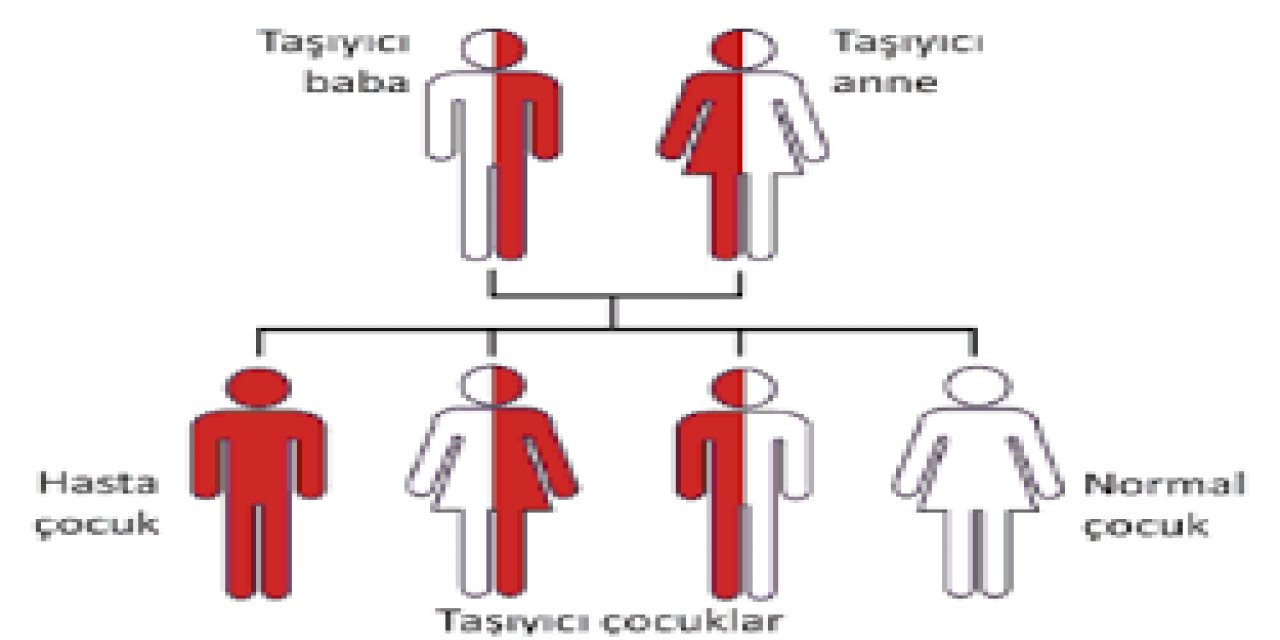 Nöroloji Profesörü Tunçbay: Sma Tarama Testi Mutlaka Yaptırılmalı!