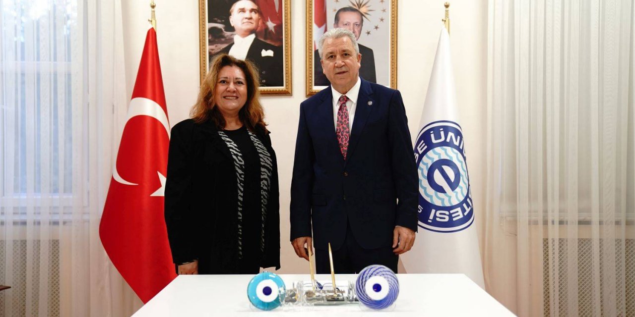 Mikrorobotların Tıpta Kullanımının Önünü Açacak Proje