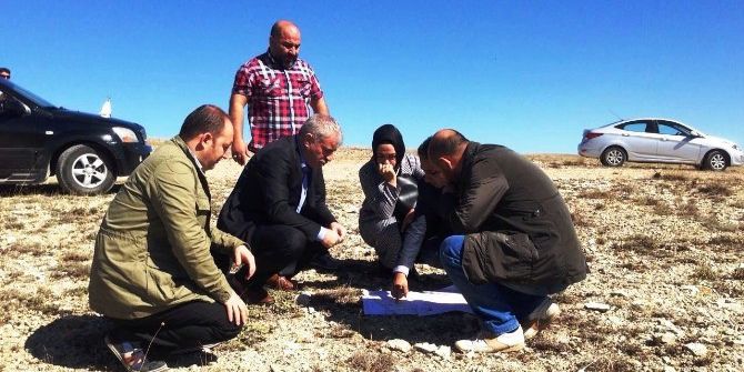 Başkan Memiş, Çalışma Alanlarını Gezdi