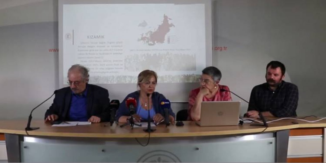 Ttb Uyardı: Kızamık Salgını İle Karşı Karşıyayız!