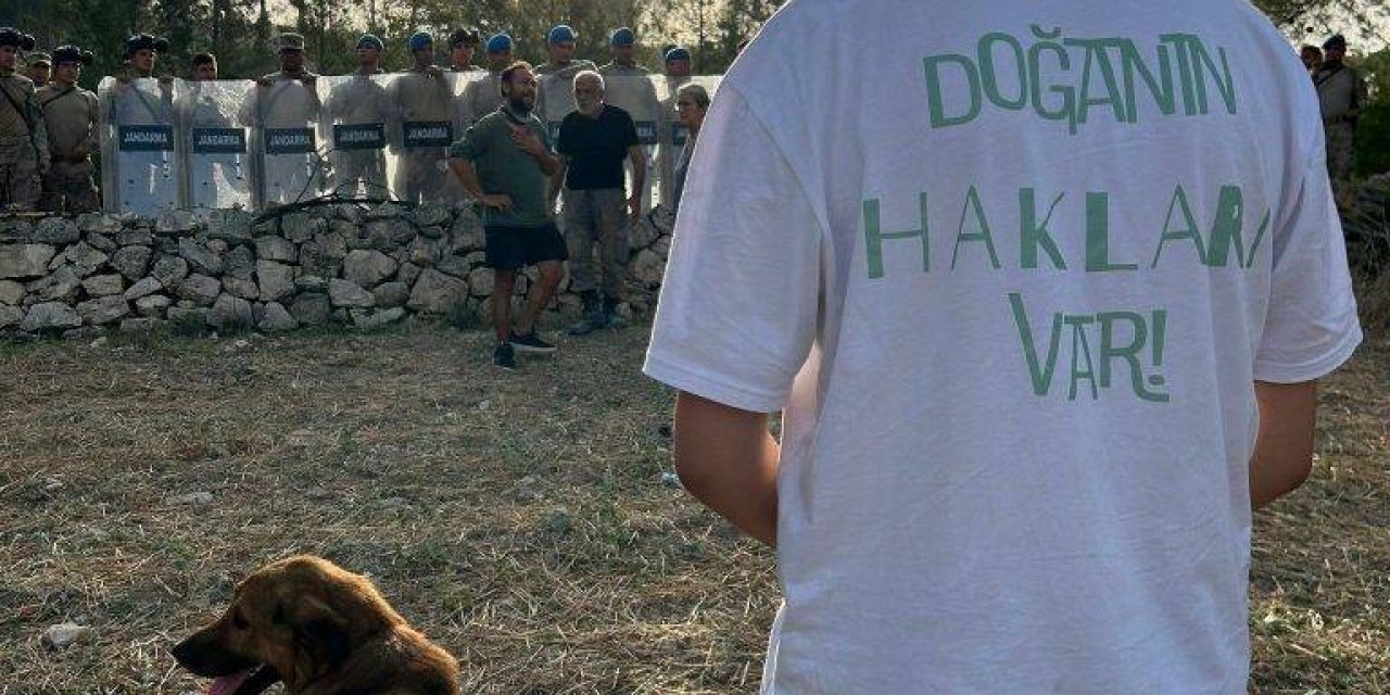 Tarkan: “akbelen Ormanlarını Rahat Bırakın”